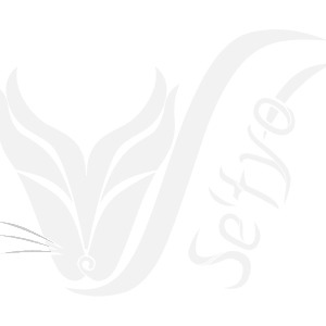 se'tyo logo