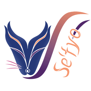 logo of se'tyo