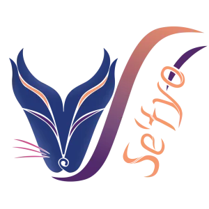 logo of se'tyo