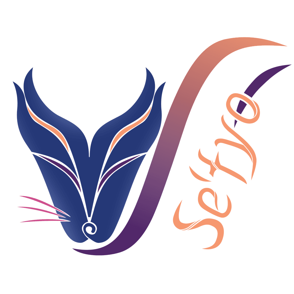 logo of se'tyo