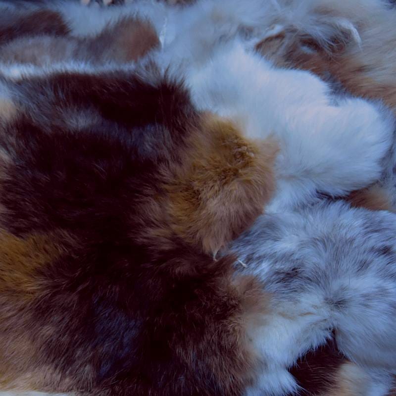 brown-white fur detail
